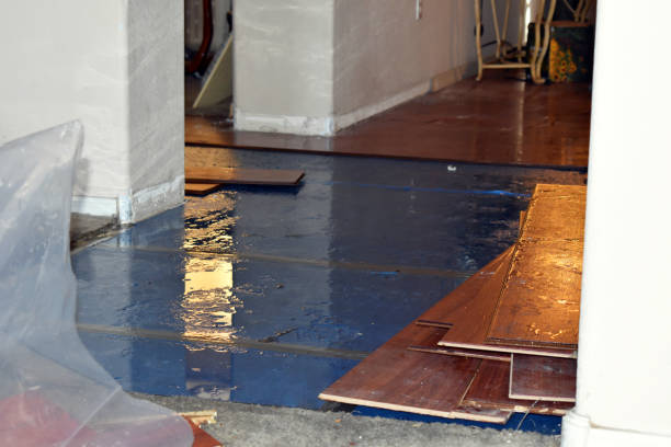 Professional Burst Pipe Water Damage technician working in Ithaca, MI